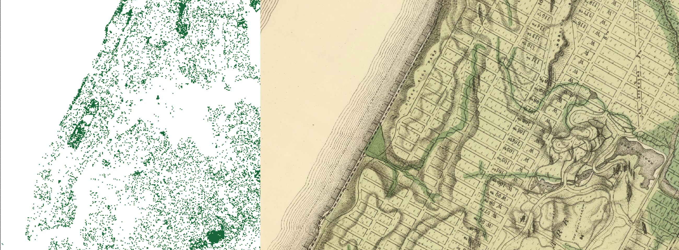 maps of tree cover and streams