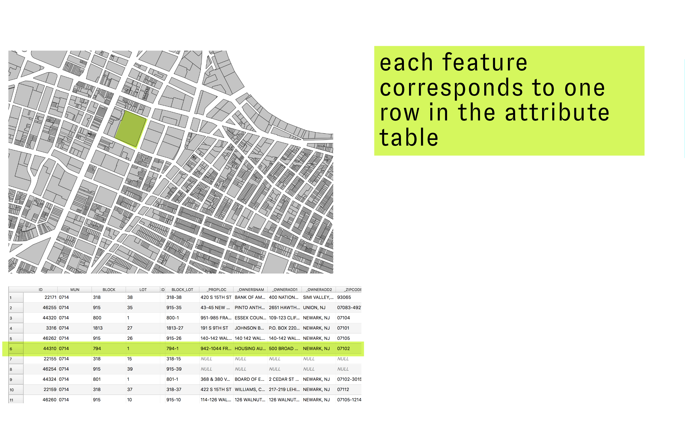 vector features